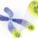 (주)크리스탈바이오 이미지