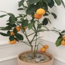 해찬농원 이미지