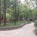 충숙근린공원 이미지
