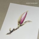 당신의 꽃그림 보테니컬 아트 이미지