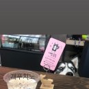 네발총총 이미지