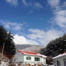 보현산칼국수 이미지