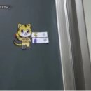 교사의 아동학대로 인정된 것 이미지