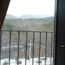 대야산자연휴양림 이미지