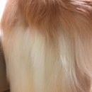 베스트피플컴퍼니