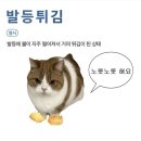 번개태권도 | 나만 빼고 다 사랑에 빠져