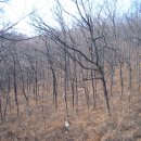 비래사약수터 이미지