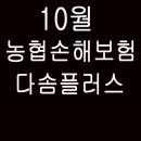 다솜플랜