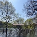 호수풍경속으로 | [안성 가볼 만한 곳] 따사로운 햇살을 가득 머금은 안성 금광호수의 봄 풍경 속으로 풍덩 빠져보세요!