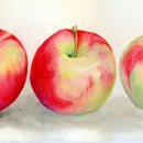 드로잉&수채화(미술) 이미지