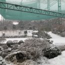 가나스크린골프 | 스크린/인도어 골프장 알바 후기 l 난이도•하는 일