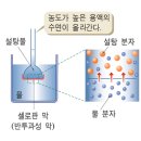 정원화학 이미지