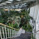 황금이식물원 이미지