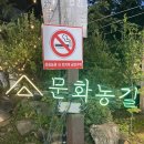 명명농원