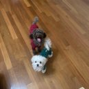 신박하개 이미지