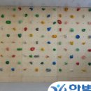 삼척중앙초등학교 이미지