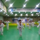 용인대 힘찬 태권도장 이미지