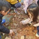 동내초병설유치원 이미지