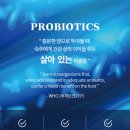 시장동물약국 이미지