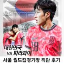 제주월드컵경기장(1층) | [월드컵경기장 직관 후기] 주차정보 | 1층 시야 | 레드석(N-E 36열) 직관 총 정리 | 가성비 맛집