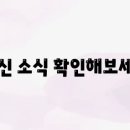 당근PC 이미지