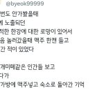 유유자적한 한강에 대한 로망이 있어서 맥주 한캔 들고 간 적 있음.twt 이미지