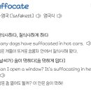 서퍼케이트 뜻 봤어? 이미지