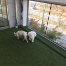 참견아카데미 이미지