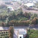 토생금공인중개사사무소 이미지