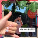 송정중앙로 | 부산 서핑 강습 송정 데이서프 내돈내산 후기 (f. 서핑 준비물)