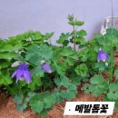 뇌혈류 촉진운동 10단계 이미지