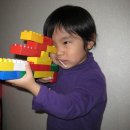 서울애견미용실 이미지