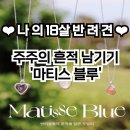 pet08다7475 | [18살노령견] 주주의 흔적 남기기 &#39;마티스블루&#39; 구매후기 / 반려동물 털목걸이 결제&amp;주문 팁 공유...
