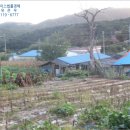도사곡리 경로당 네이버블로그