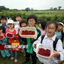 산딸기목장 이미지