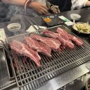 램공방 | [램공방] 수원 천천동 양갈비 맛집 램공방 솔직 후기 | 수원 회식 장소 추천 | 수원 모임 장소 | 수원...