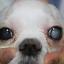 한빛종합동물병원 이미지