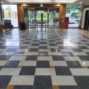 태백시청 이미지