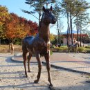 마들스타디움 이미지