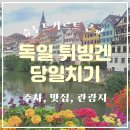 목골중 | 독일 슈투트가르트 근교 소도시 튀빙겐, 작지만 알찬 대학도시 렌트카 여행 후기 (feat. 주차비)