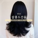 살롱드삐삐 | [안산 고잔동 미용실] 레이어드 중단발 cs컬펌 후기 살롱드선율