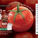 에스티벤처스