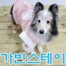 스테이동물병원 이미지