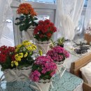 참크리닝세탁소 이미지