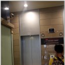 더모어푸드