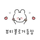보떼 드 조이