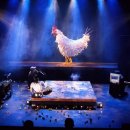 거창-거창-7 이미지