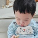 꿀잼놀이교육센터