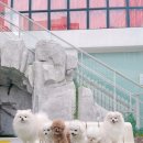 2Do (2도) 이미지