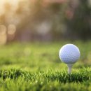 골프원 이미지